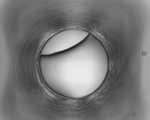 X0000092210049200709140909