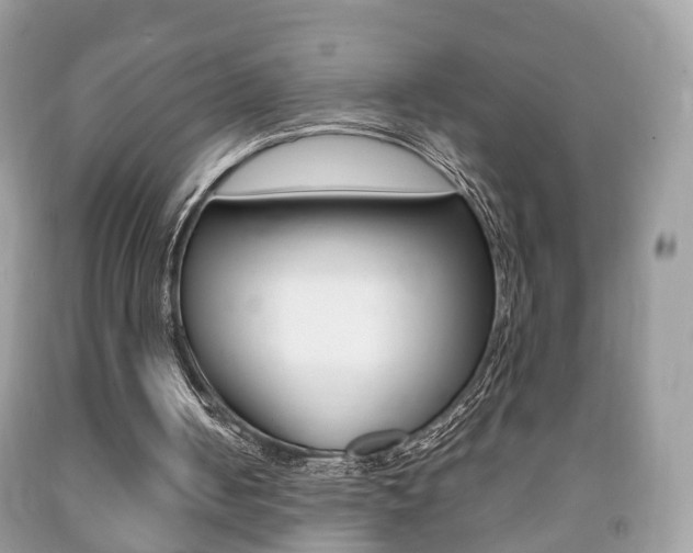 X0000092210050200709140909