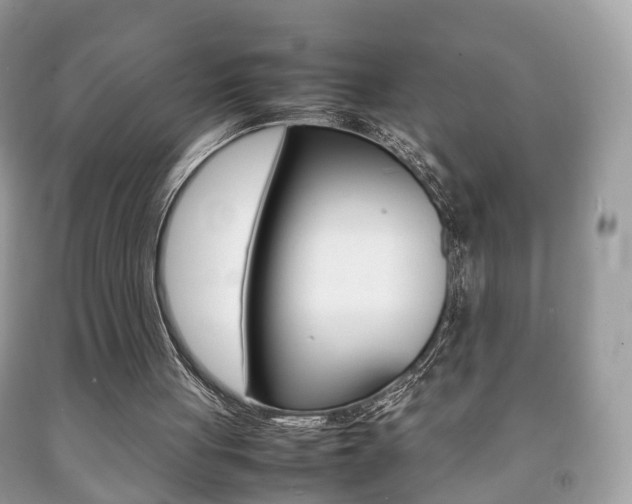 X0000092210051200709140909
