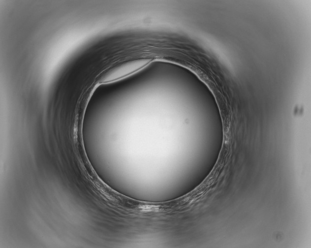 X0000092210052200709140909