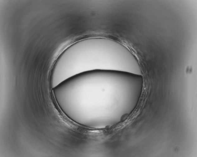 X0000092210053200709140909