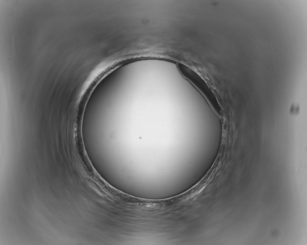 X0000092210056200709140909
