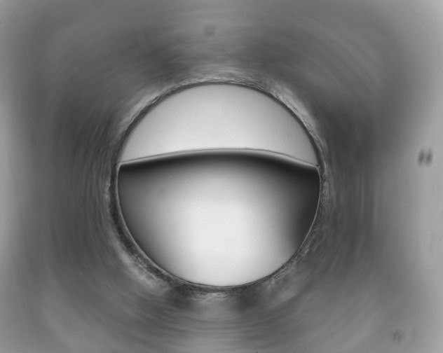 X0000092210058200709140909