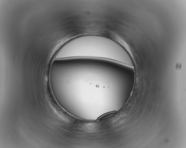 X0000092210059200709140909