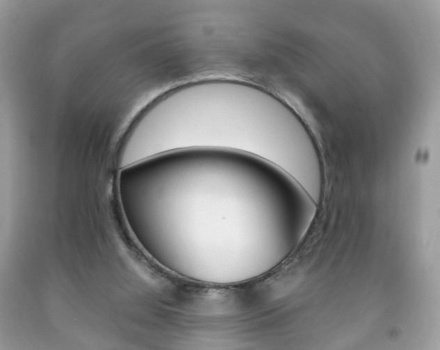 X0000092210060200709140909