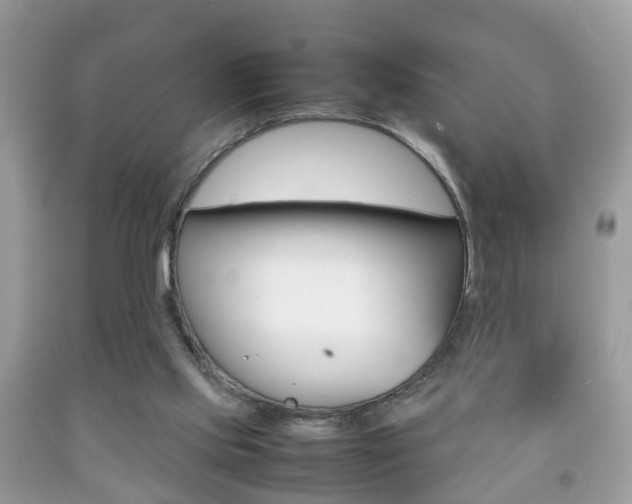 X0000092210061200709140909