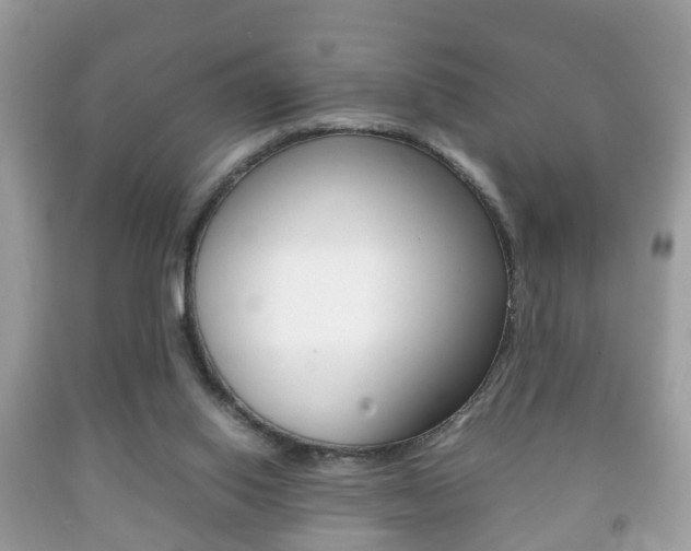 X0000092210062200709140909