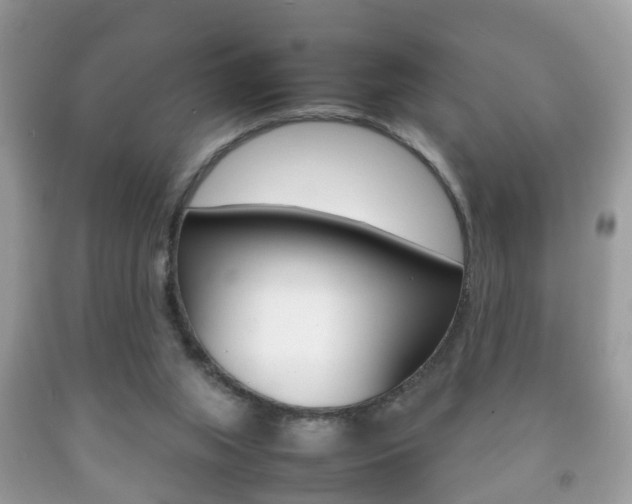 X0000092210063200709140909