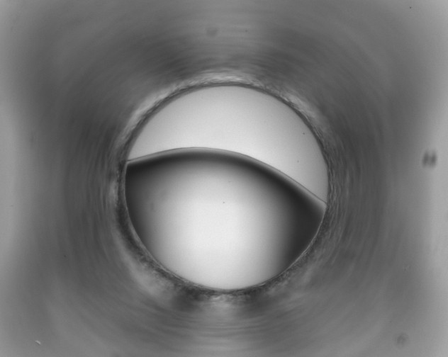 X0000092210064200709140909