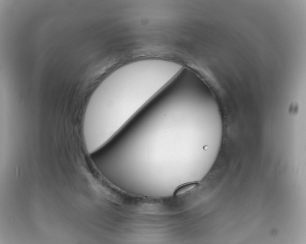 X0000092210066200709140909