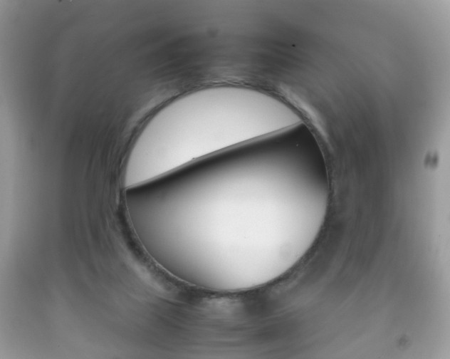 X0000092210067200709140910