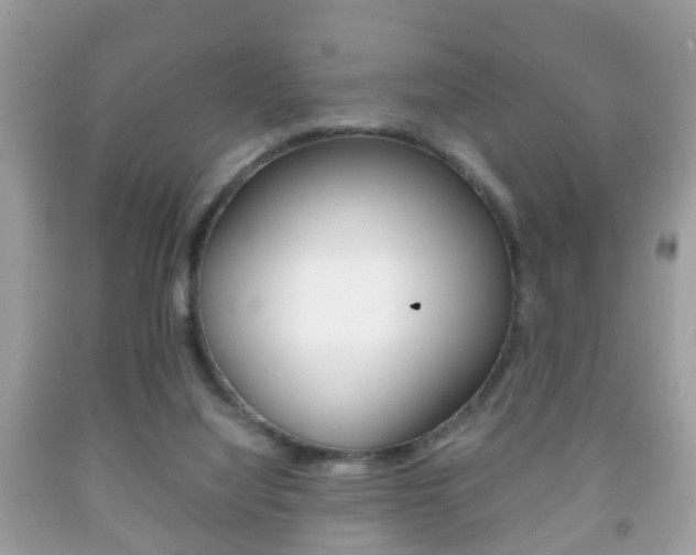 X0000092210068200709140910