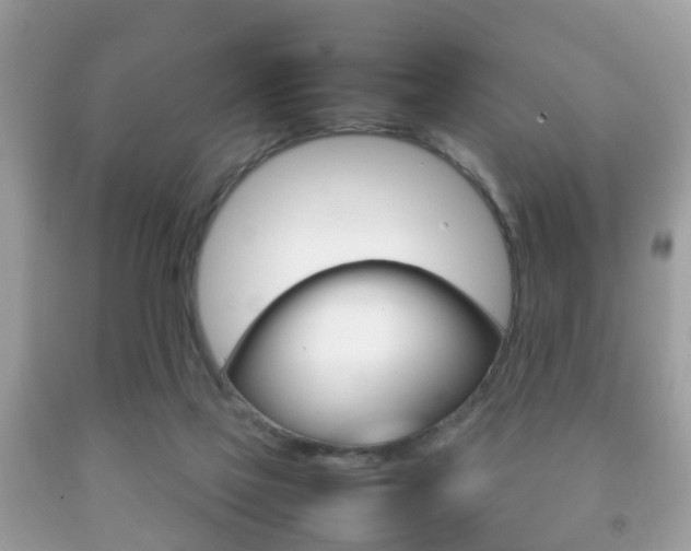 X0000092210069200709140910