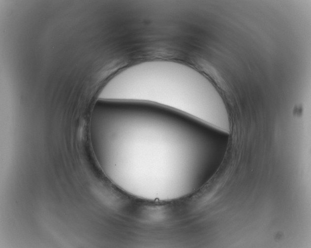 X0000092210071200709140910