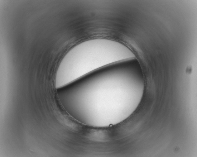 X0000092210073200709140910
