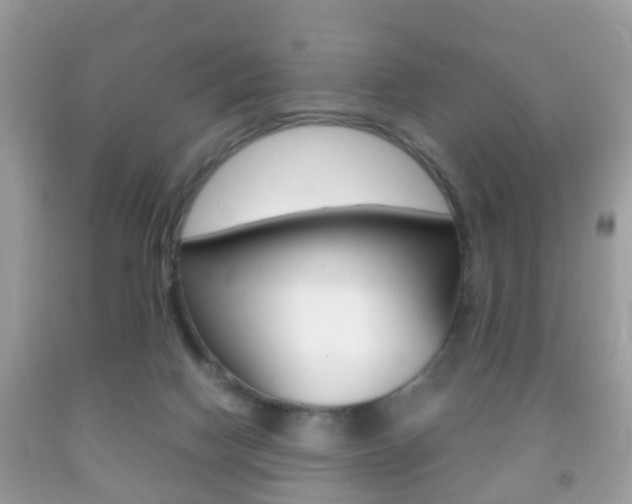 X0000092210074200709140910