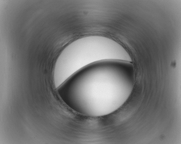 X0000092210076200709140910