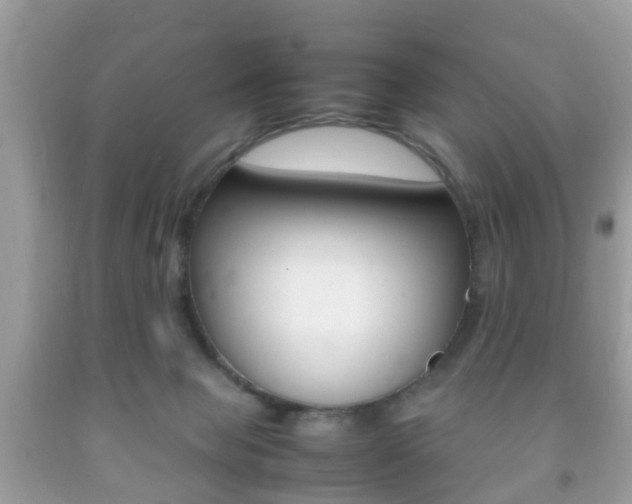 X0000092210077200709140910