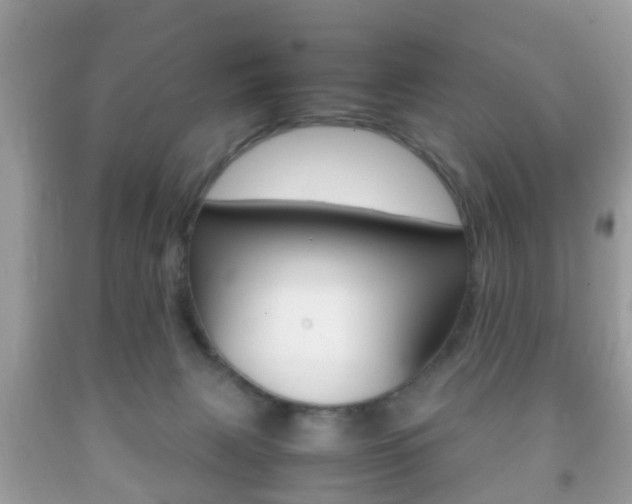 X0000092210079200709140910