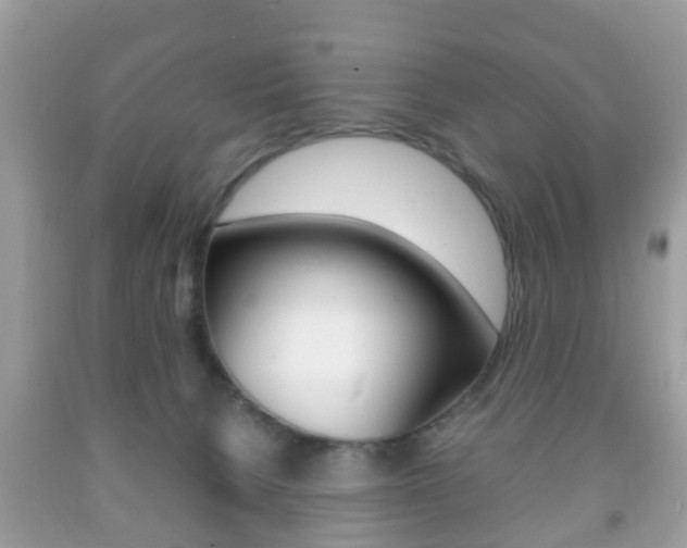 X0000092210080200709140910