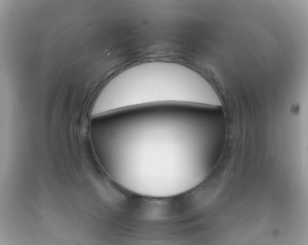 X0000092210081200709140910