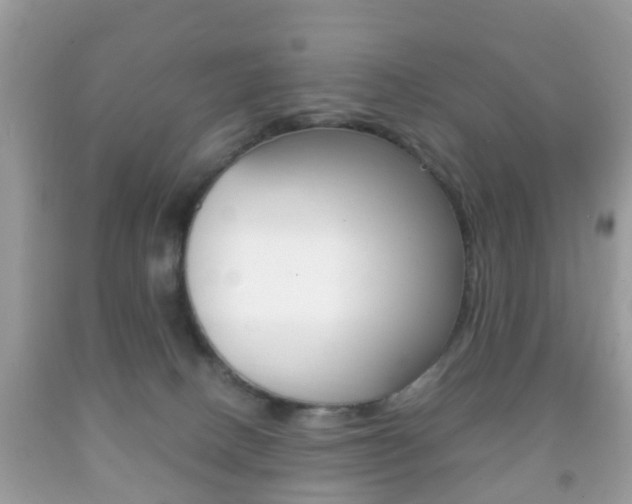 X0000092210082200709140910