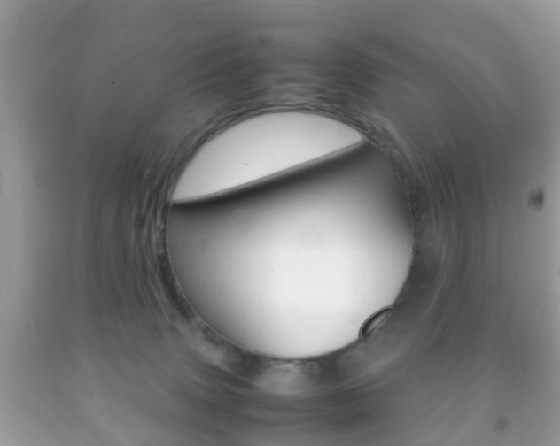 X0000092210083200709140910