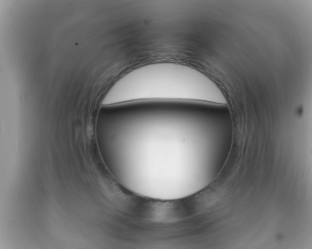X0000092210085200709140910