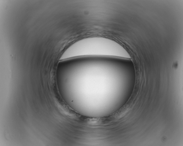 X0000092210088200709140910