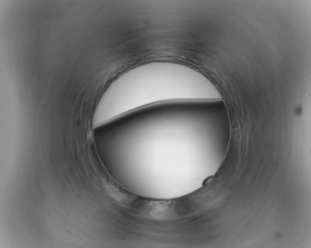 X0000092210089200709140910