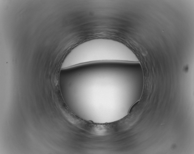 X0000092210091200709140910
