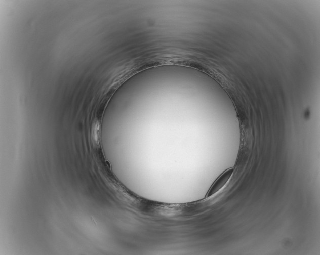 X0000092210094200709140910