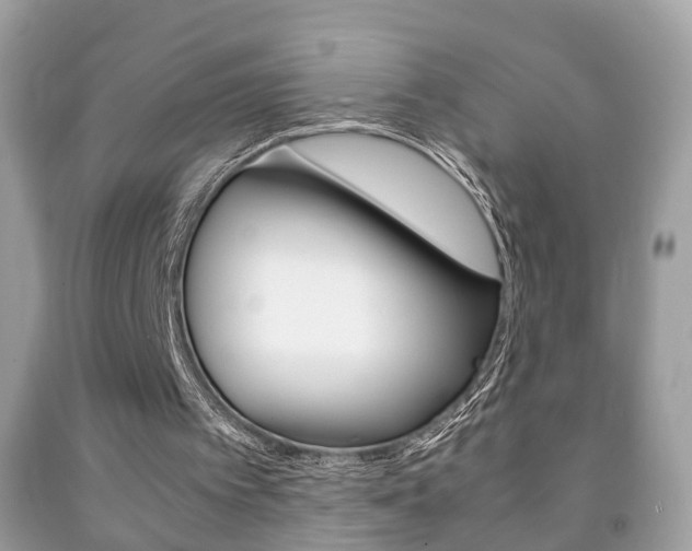 X0000092210097200709140909