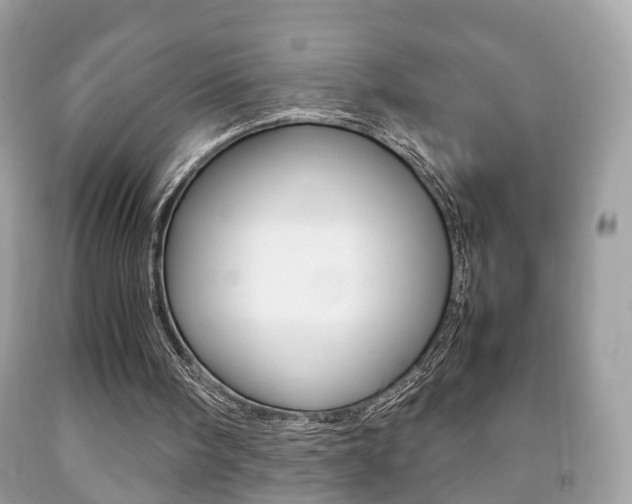 X0000092210098200709140909