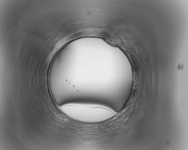 X0000092210099200709140909