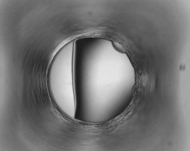 X0000092210100200709140909