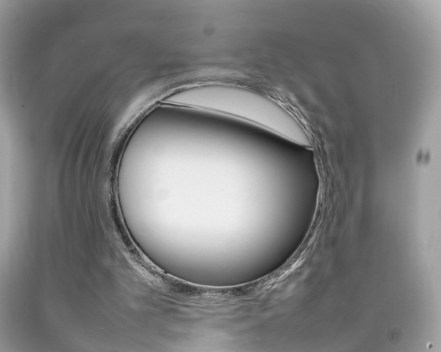 X0000092210101200709140909