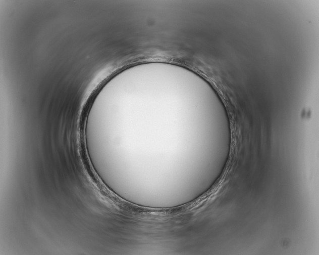 X0000092210102200709140909