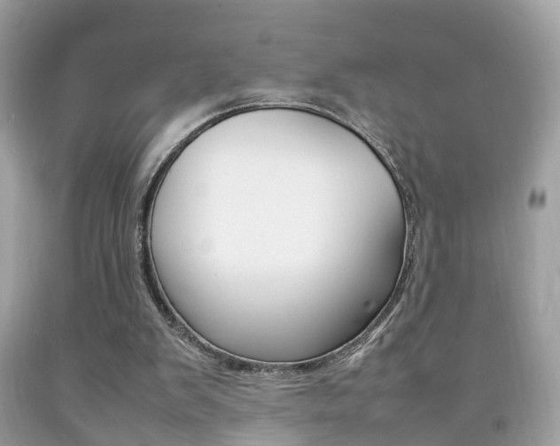 X0000092210103200709140909