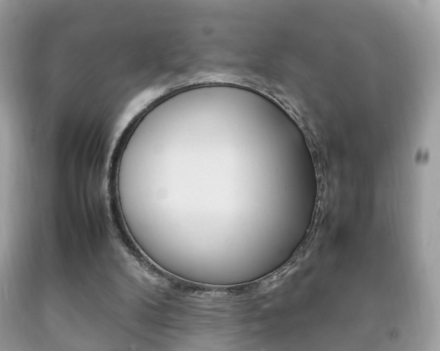 X0000092210104200709140909