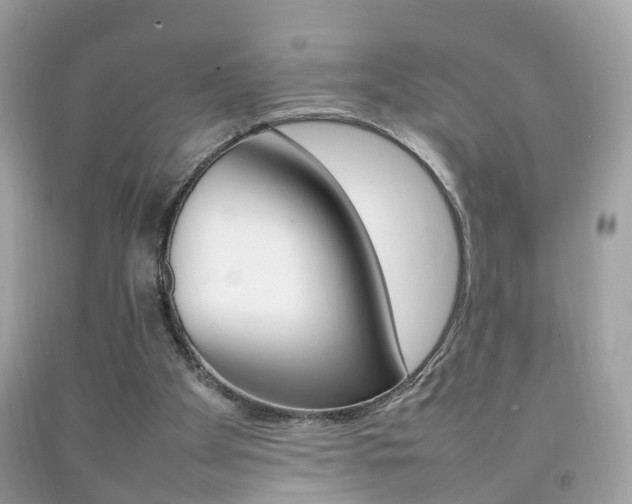X0000092210105200709140909