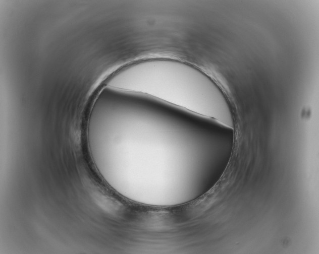 X0000092210108200709140909