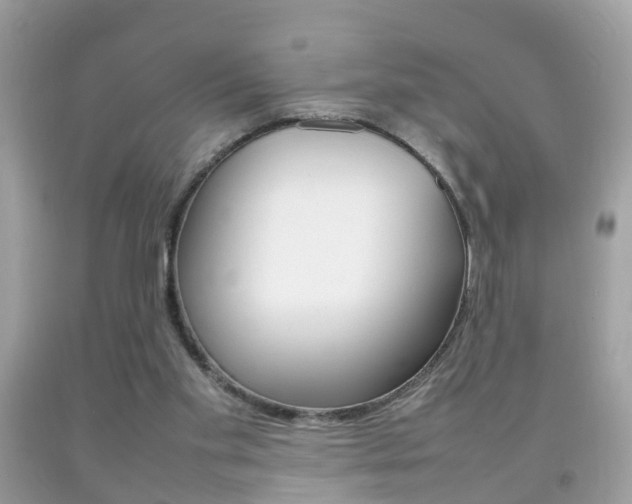 X0000092210109200709140909