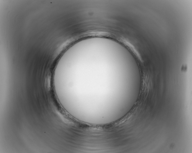 X0000092210110200709140909