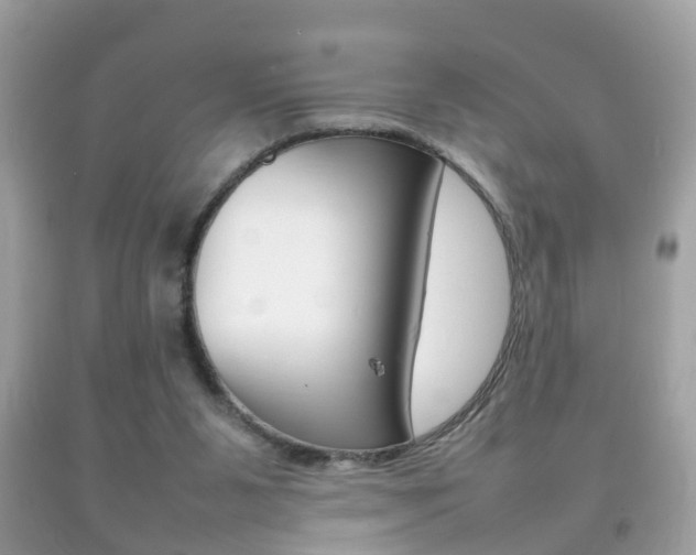 X0000092210111200709140909