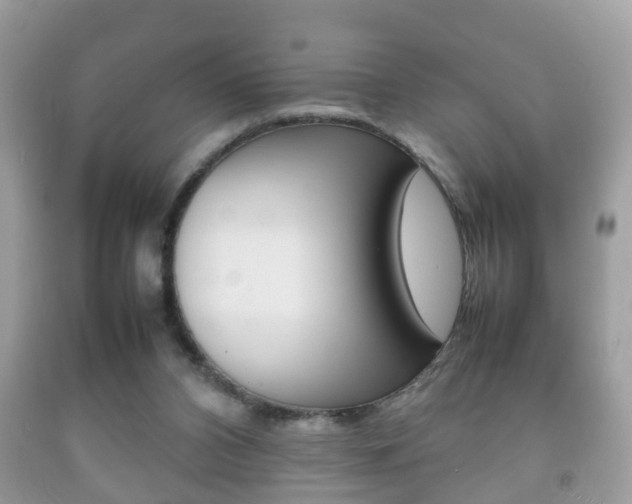 X0000092210112200709140909