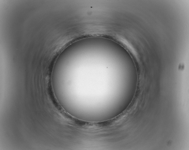 X0000092210113200709140909
