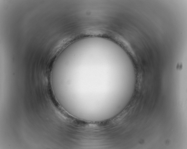 X0000092210114200709140909