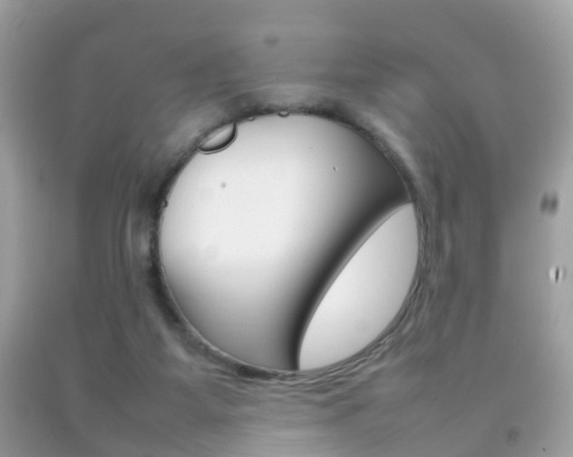 X0000092210115200709140909