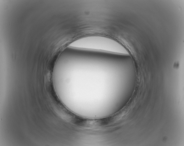 X0000092210117200709140909